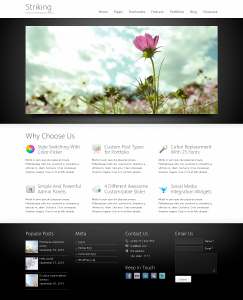 WordPress テーマ　Striking